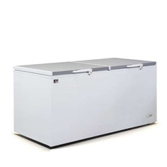 AG Equipment BD900S Chest Freezer